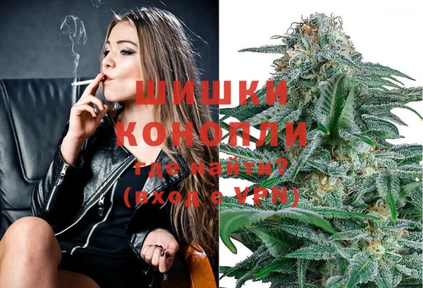 стаф Балахна