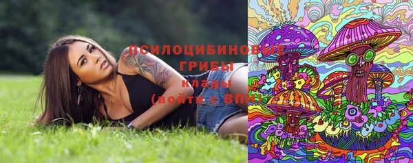 стаф Балахна