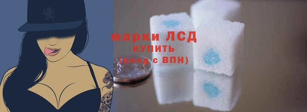 стаф Балахна